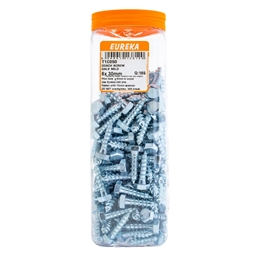 T1C050 - Coach Screw
